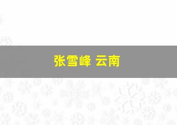 张雪峰 云南